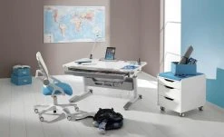 PAIDI Schülerschreibtisch Jaro 10 PAIDI Schülerschreibtisch Jaro -Kindermöbel Verkaufsladen 10358454 4 202007080902