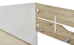 PAIDI Etagenbett mit Leiter Fionn -Kindermöbel Verkaufsladen 11119982 14 201912062238