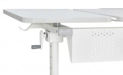 PAIDI Schülerschreibtisch Diego GT | Weiß 26 PAIDI Schülerschreibtisch Diego GT | Weiß -Kindermöbel Verkaufsladen 11350509 5 201901242210