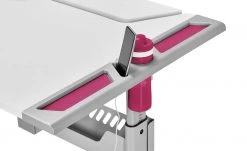 PAIDI Schülerschreibtisch Tablo | Weiß / Brombeer -Kindermöbel Verkaufsladen 11350644 7 202102182236