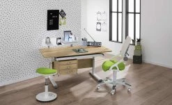 PAIDI Schülerschreibtisch Diego | Eiche Nebraska (Nachbildung) / Weiß