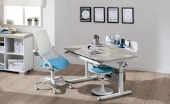 PAIDI Schülerschreibtisch Diego | Eiche Nautik (Nachbildung) / Weiß