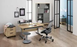 PAIDI Schülerschreibtisch Diego | Eiche Nebraska (Nachbildung) / silberfarbig