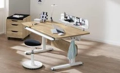 PAIDI Schülerschreibtisch Diego GT | Eiche Nebraska (Nachbildung) / Weiß