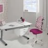 PAIDI Schülerschreibtisch Diego GT | Weiß / Grau -Kindermöbel Verkaufsladen 11352291 1 201907122242