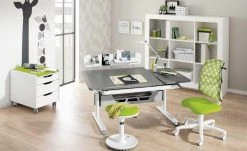 PAIDI Schülerschreibtisch Diego GT | Schiefergrau / Weiß