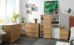 Regal Tarent | Weiß