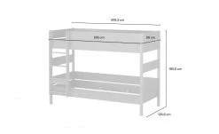 PAIDI Etagenbett mit gerader Leiter Sten -Kindermöbel Verkaufsladen 12113903 9 202111252244