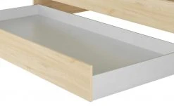 Duobett Grow Up | Livorno Buche (Nachbildung) 120 cm 29 Duobett Grow Up | Livorno Buche (Nachbildung) 120 cm -Kindermöbel Verkaufsladen 12114395 14 202108231241