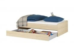 Duobett Grow Up | Livorno Buche (Nachbildung) 120 cm 21 Duobett Grow Up | Livorno Buche (Nachbildung) 120 cm -Kindermöbel Verkaufsladen 12114395 2 201912062238