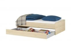 Duobett Grow Up | Livorno Buche (Nachbildung) 120 cm 23 Duobett Grow Up | Livorno Buche (Nachbildung) 120 cm -Kindermöbel Verkaufsladen 12114395 5 201912062238