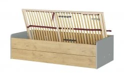 Stauraumbett Grow Up | Grau / Wildeiche (Nachbildung) 90 cm -Kindermöbel Verkaufsladen 12114687 4 202003022232