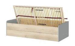 Stauraumbett Grow Up | Grau / Risseiche (Nachbildung) 90 cm 22 Stauraumbett Grow Up | Grau / Risseiche (Nachbildung) 90 cm -Kindermöbel Verkaufsladen 12114689 2 202003022232