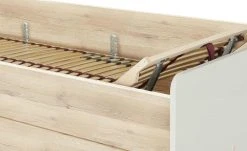 Stauraumbett Grow Up | Sandgrau / Risseiche (Nachbildung) 90 cm 35 Stauraumbett Grow Up | Sandgrau / Risseiche (Nachbildung) 90 cm -Kindermöbel Verkaufsladen 12114695 16 202003022232