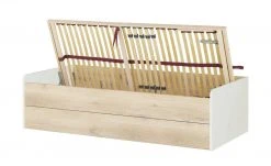 Stauraumbett Grow Up | Sandgrau / Risseiche (Nachbildung) 90 cm 22 Stauraumbett Grow Up | Sandgrau / Risseiche (Nachbildung) 90 cm -Kindermöbel Verkaufsladen 12114695 2 202003022232