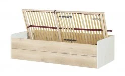 Stauraumbett Grow Up | Sandgrau / Risseiche (Nachbildung) 90 cm 24 Stauraumbett Grow Up | Sandgrau / Risseiche (Nachbildung) 90 cm -Kindermöbel Verkaufsladen 12114695 4 202003022232