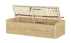 Stauraumbett Grow Up | Wildeiche (Nachbildung) 90 cm -Kindermöbel Verkaufsladen 12114700 13 202108231242