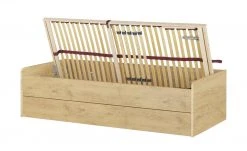 Stauraumbett Grow Up | Wildeiche (Nachbildung) 90 cm -Kindermöbel Verkaufsladen 12114700 15 202108231242