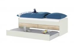 Duobett mit Stauraum Grow Up | Sandgrau / Risseiche (Nachbildung) 120 cm -Kindermöbel Verkaufsladen 12114856 3 202003122234