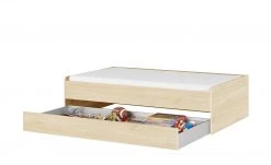 Duobett Grow Up | Livorno Buche (Nachbildung) 90 cm 16 Duobett Grow Up | Livorno Buche (Nachbildung) 90 cm -Kindermöbel Verkaufsladen 12115020 3 202007080955