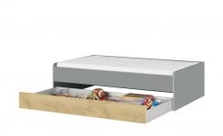 Duobett Grow Up | Grau / Wildeiche (Nachbildung) 90 cm 21 Duobett Grow Up | Grau / Wildeiche (Nachbildung) 90 cm -Kindermöbel Verkaufsladen 12115024 9 202108231241