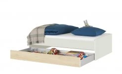 Duobett Grow Up | Sandgrau / Livorno Buche (Nachbildung) 90 cm 18 Duobett Grow Up | Sandgrau / Livorno Buche (Nachbildung) 90 cm -Kindermöbel Verkaufsladen 12115032 6 202108231241