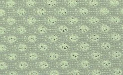 Alvi Kindermatratze STAR | 140|cm 18 Alvi Kindermatratze STAR | 140|cm -Kindermöbel Verkaufsladen 12577995 5 201908052246