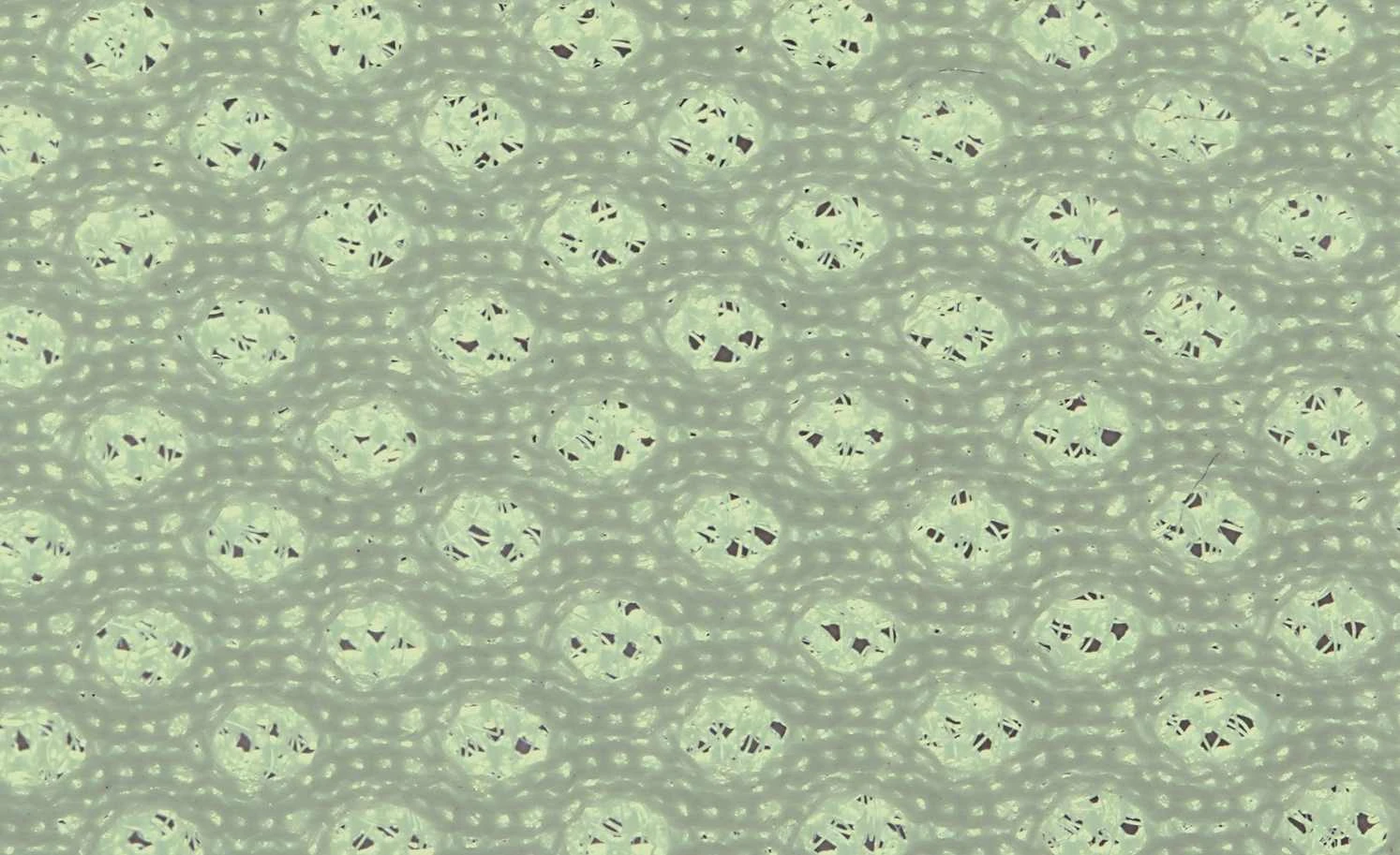 Alvi Kindermatratze STAR | 140|cm 10 Alvi Kindermatratze STAR | 140|cm – Bild 8